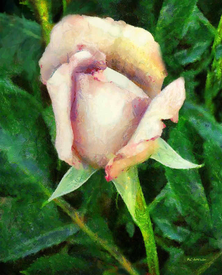 Seashell Rose Painting by RC DeWinter