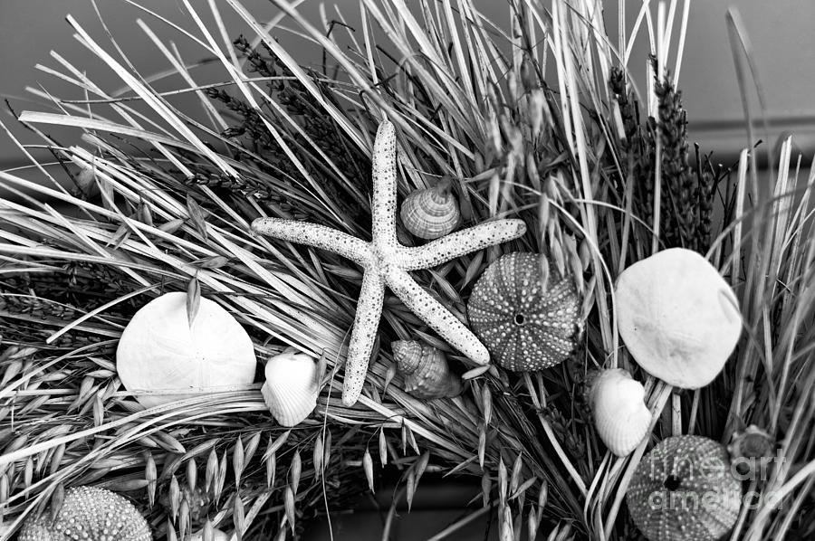Seashell Wreath mono Photograph by John Rizzuto