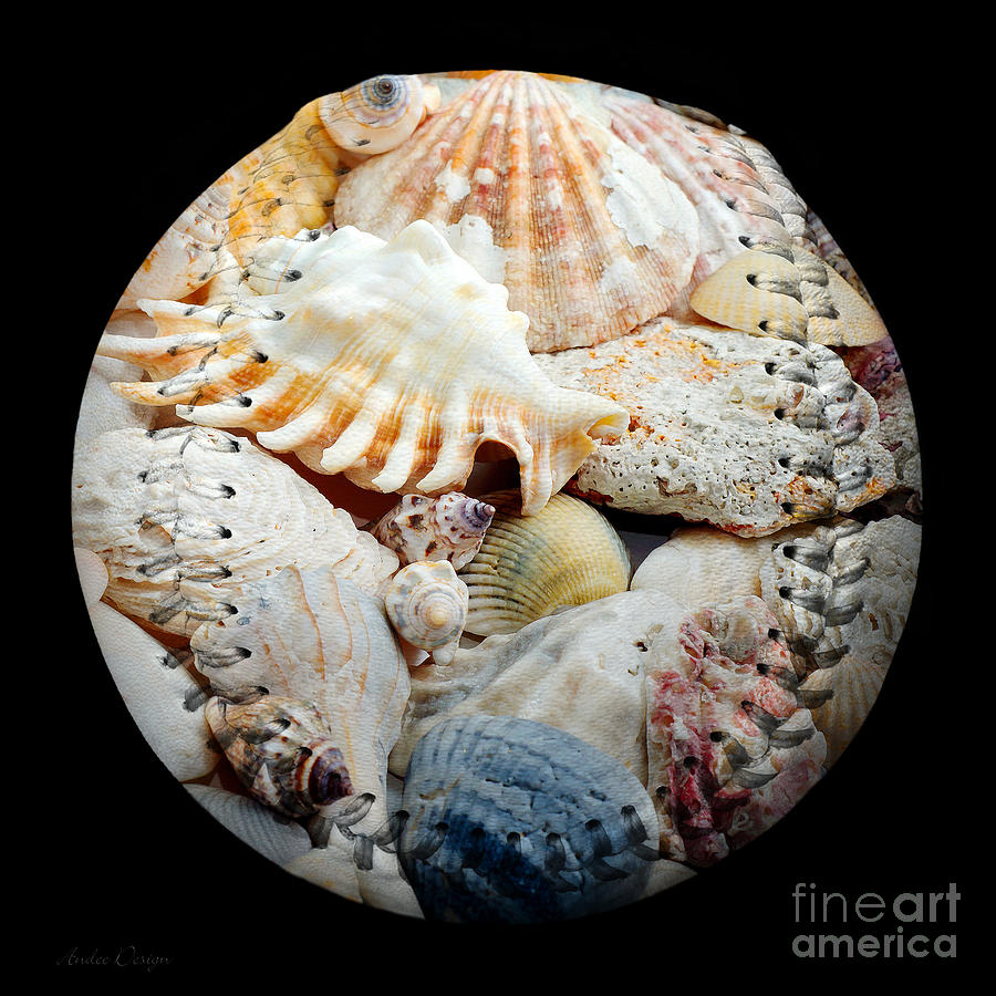 Seashells Baseball Square Digital Art by Andee Design
