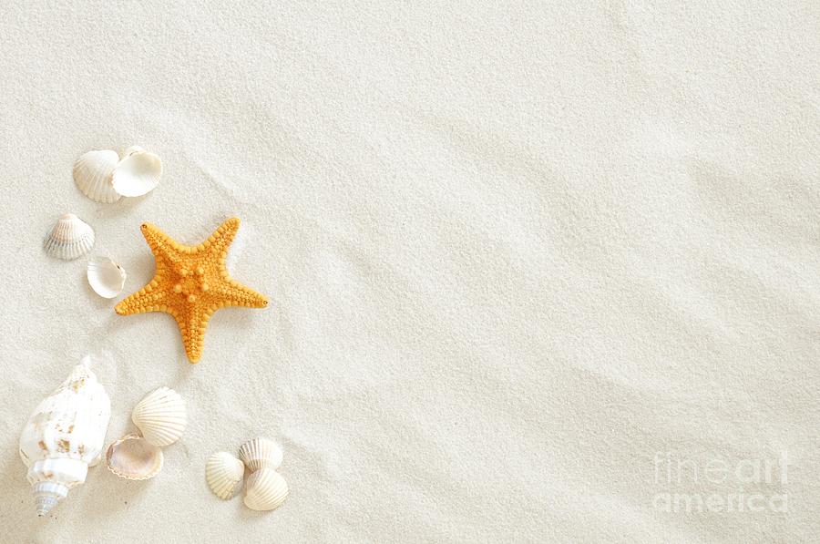 Seashells Photograph by Boon Mee