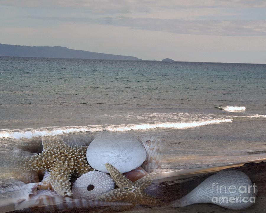Seashells on the Beach Photograph by Yumi Johnson