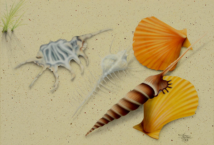 Seashells Painting by Sam Davis Johnson