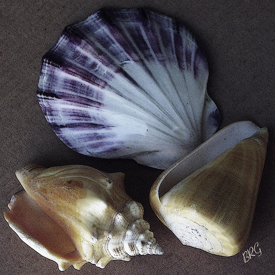 Still Life Photograph - Seashells Spectacular No 30 by Ben and Raisa Gertsberg
