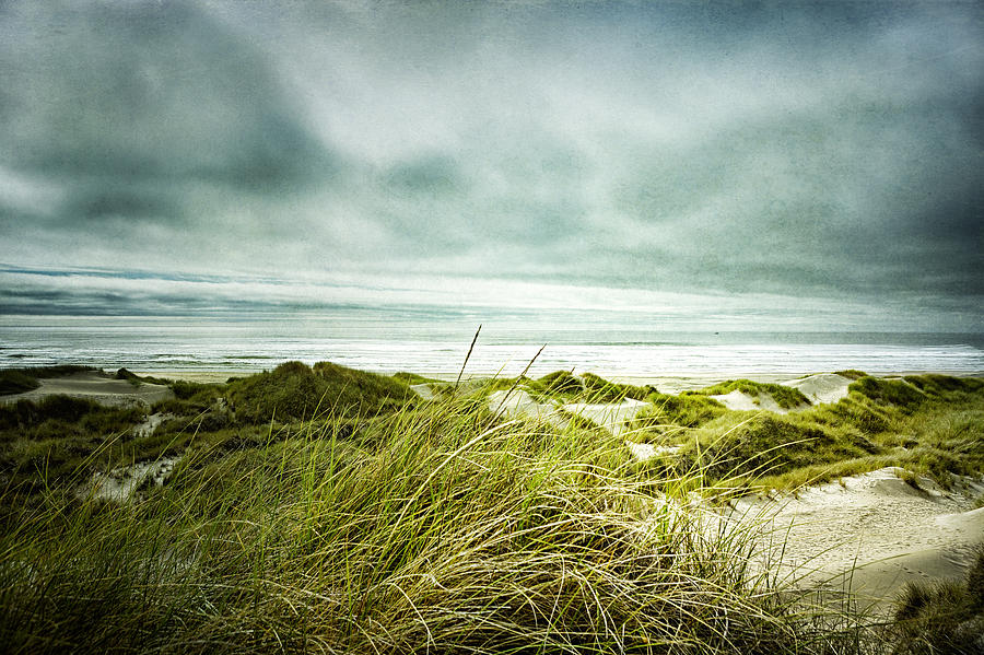 Seashore Longing Photograph by Belinda Greb