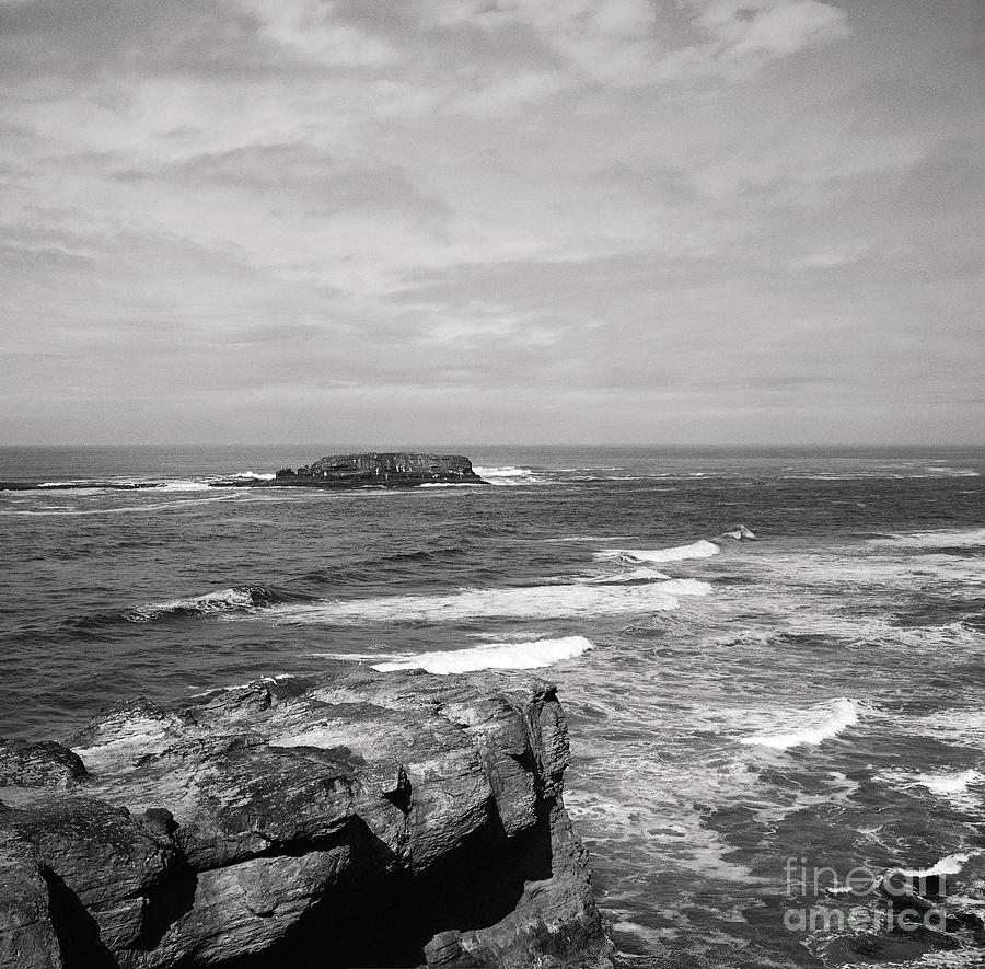 Seaside Bluff BW Photograph by Earl Johnson