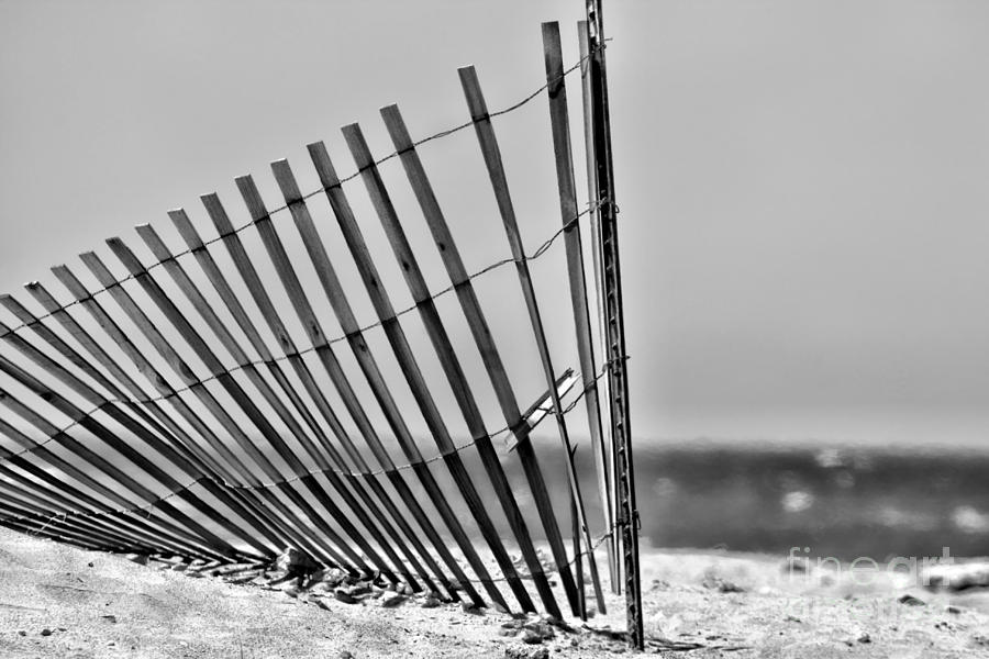 Seaside Fencing by Diana Sainz Photograph by Diana Raquel Sainz