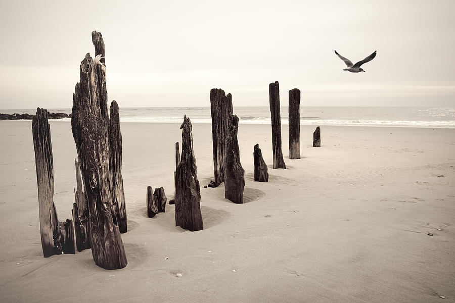Beach Photograph - Seaside by Gary Heller