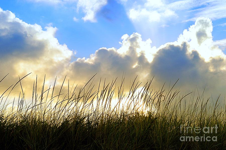 Seaside Grass and Clouds Photograph by Sharon Woerner
