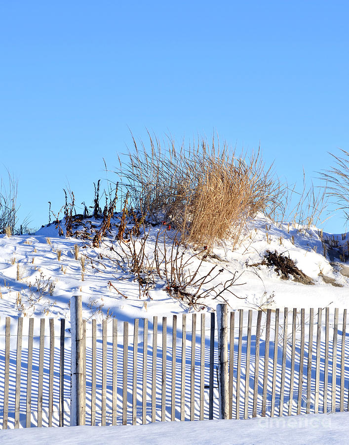 Seaside Park sand dunes Photograph by Sami Martin