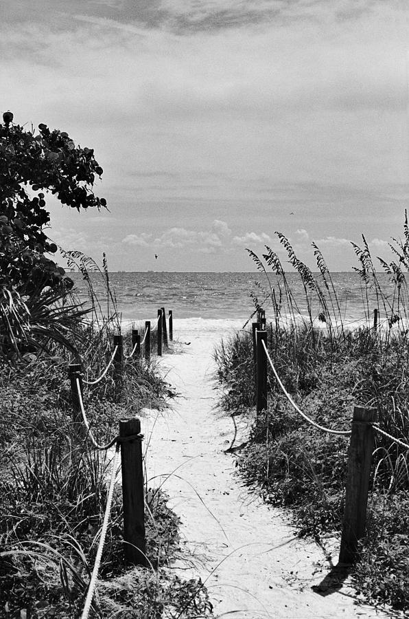 Black And White Photograph - Seaside Path by William Wetmore