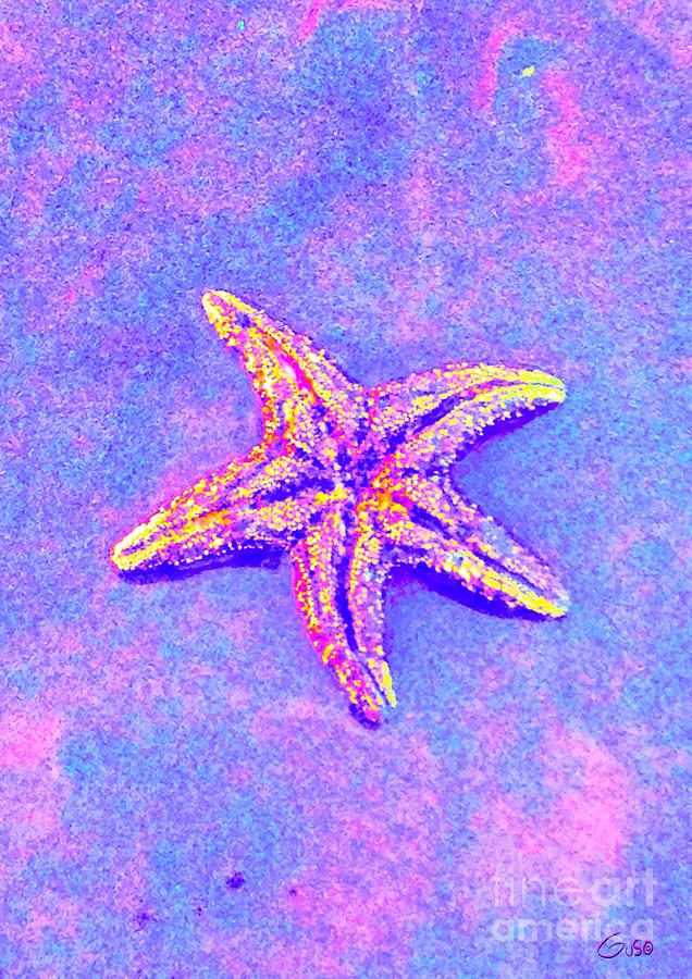Seaside Starfish Photograph by Nick Gustafson