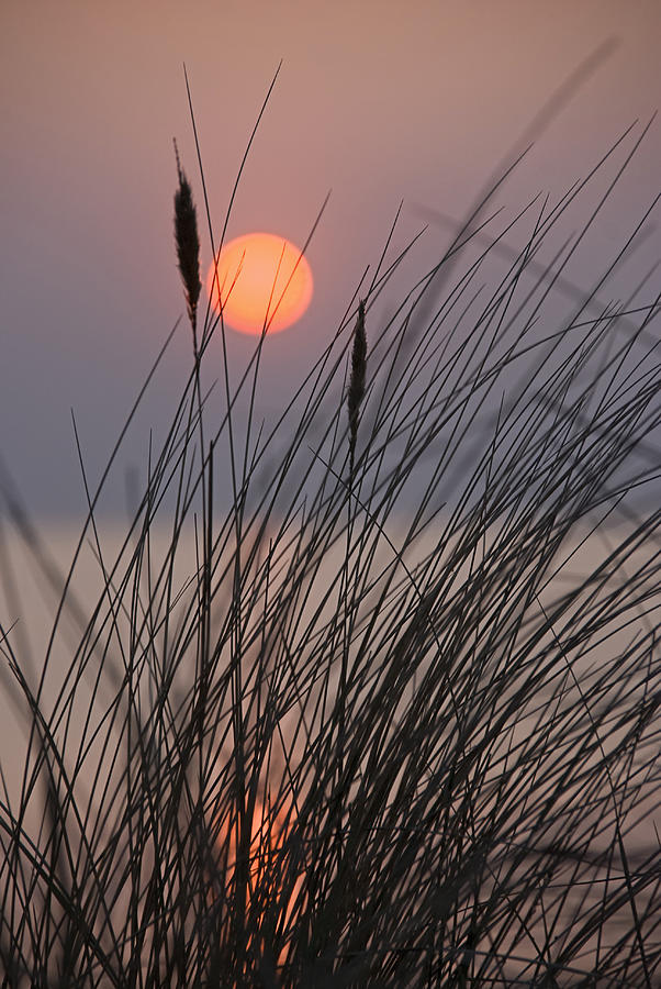 Seaside Sunset Photograph by Joachim G Pinkawa