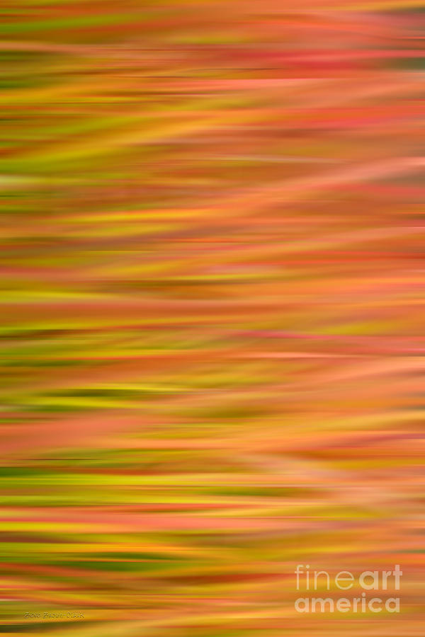Abstract Photograph - Seasonal Flow by Beve Brown-Clark Photography