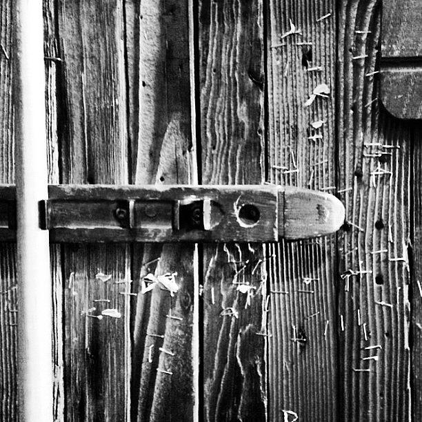Blackandwhite Photograph - Seasoned. #wood #wall #staples #poolcue by Paul West