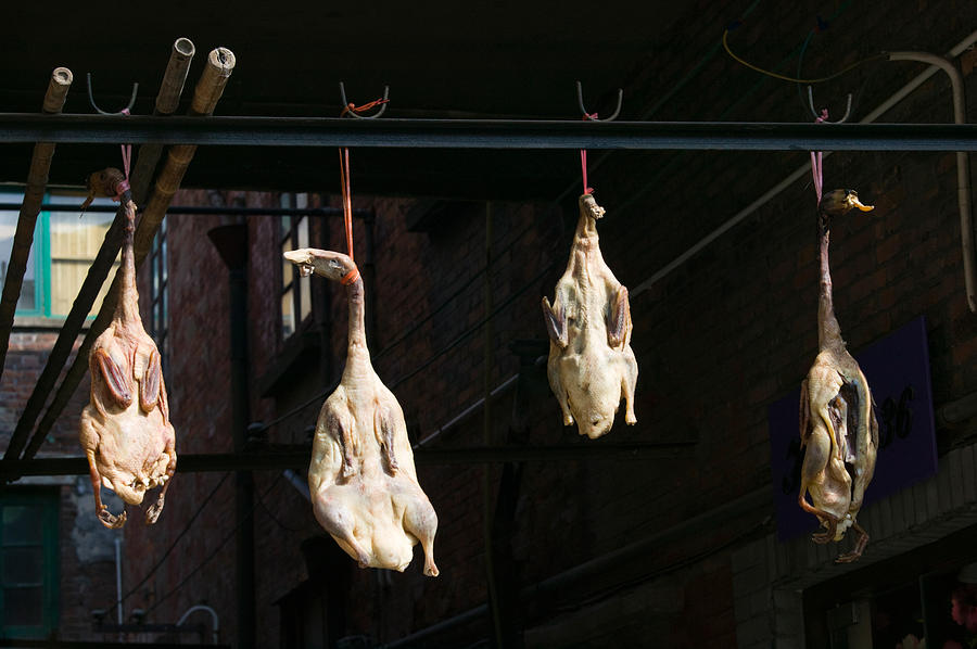 Meat Photograph - Seasoning Peking Ducks Hanging For Sale by Panoramic Images