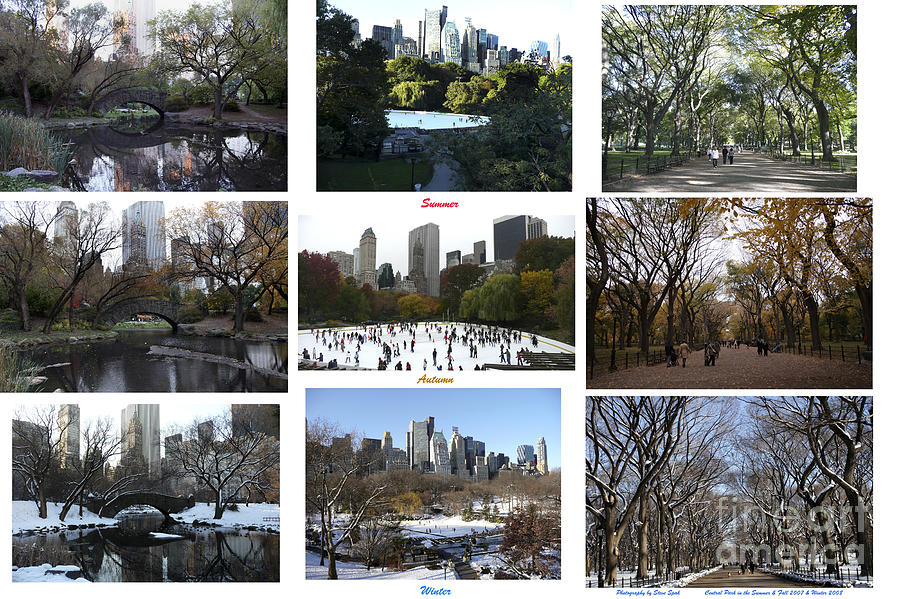 Seasons at Central Park Collage Photograph by Steven Spak