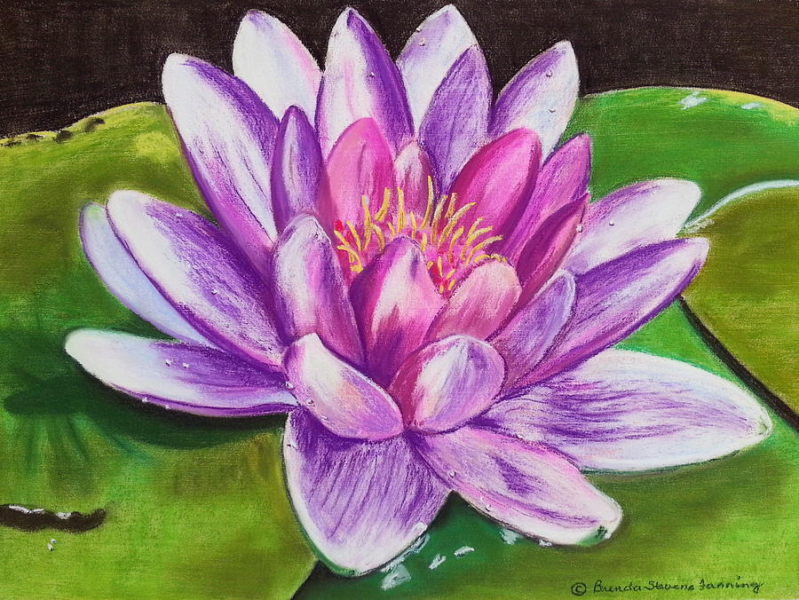 Seasons Final Lily Painting by Brenda Stevens Fanning