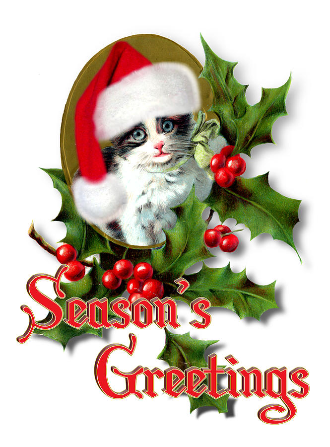 Christmas Mixed Media - Seasons Greetings - Kitten by Gravityx9  Designs