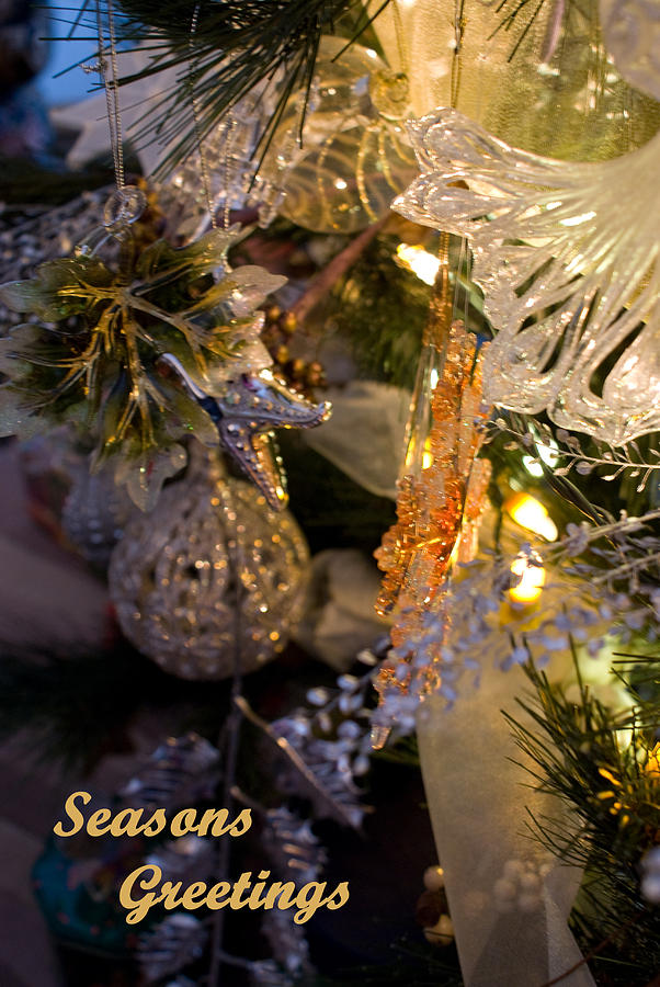 Christmas Photograph - Seasons Greetings Card by Joanne Smoley Christmas Photograph - Seasons Greetings Card by Joanne Smoley