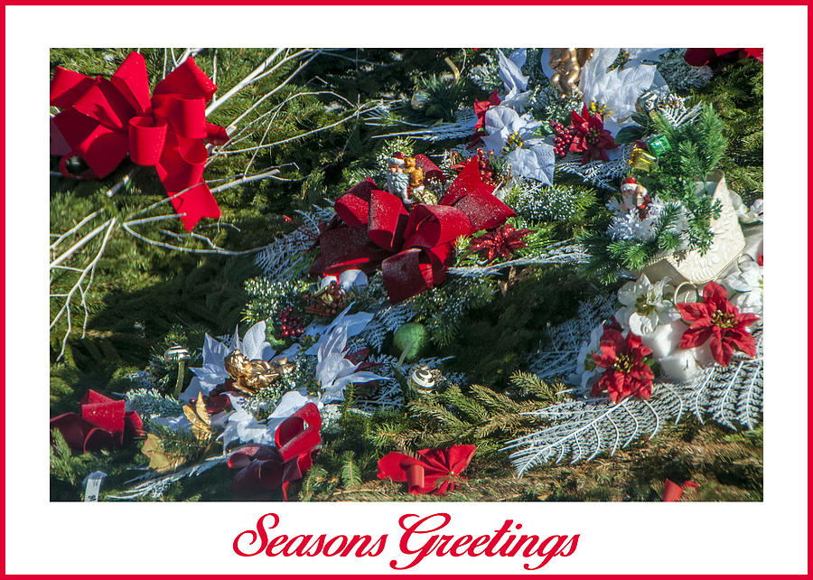 Seasons Greetings Photograph by Cathy Kovarik