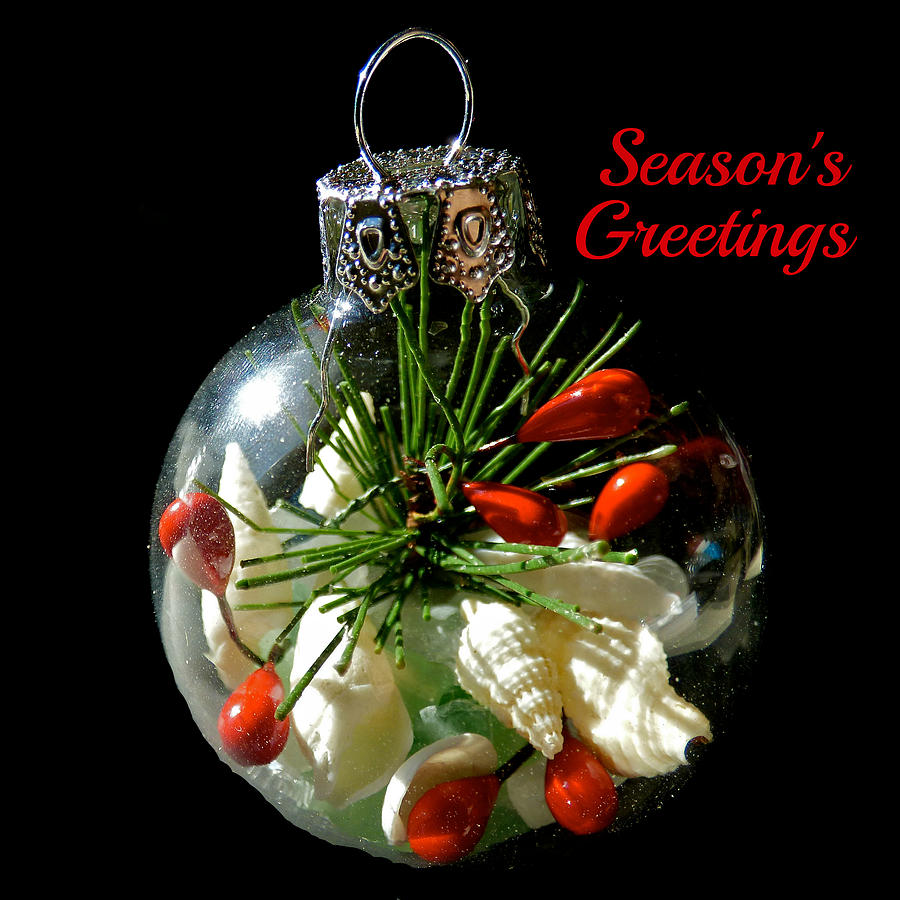 Seasons Greetings Photograph by Jean Wright
