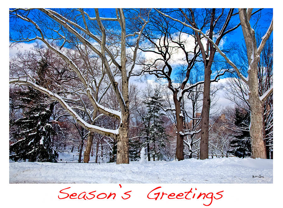 Winter Photograph - Seasons Greetings by Madeline Ellis