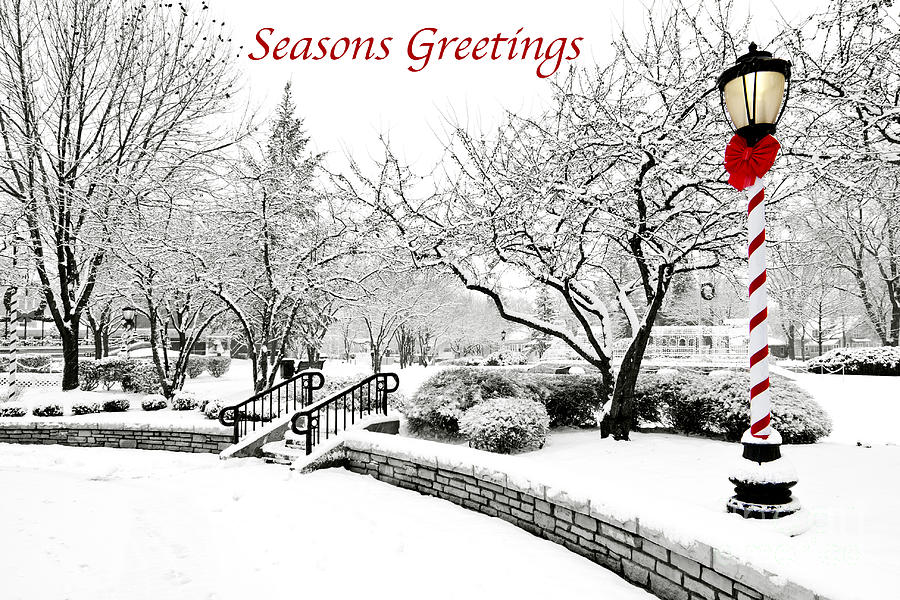 Seasons Greetings Photograph by Patty Colabuono