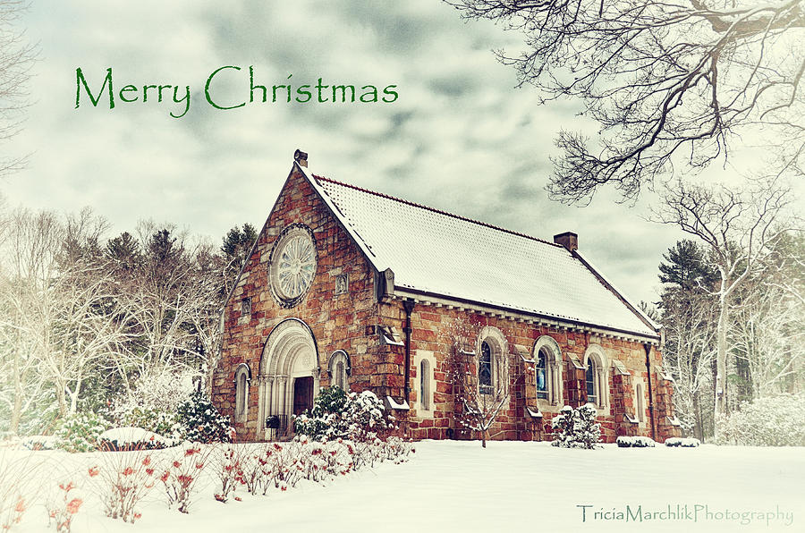 Seasons Greetings Photograph by Tricia Marchlik
