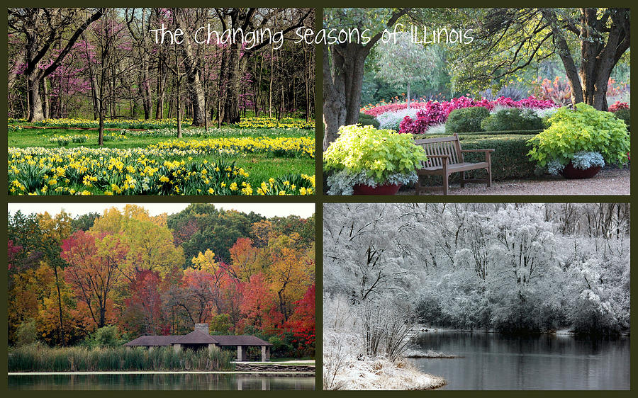 Spring Photograph - Seasons in Illinois by Rosanne Jordan