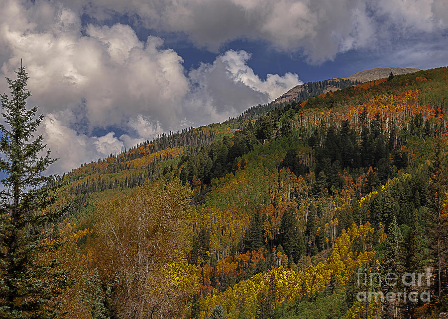 Fall Photograph - Seasons In The West by Janice Pariza