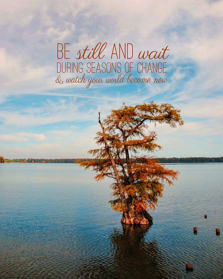 Seasons of Change Photograph by Jai Johnson
