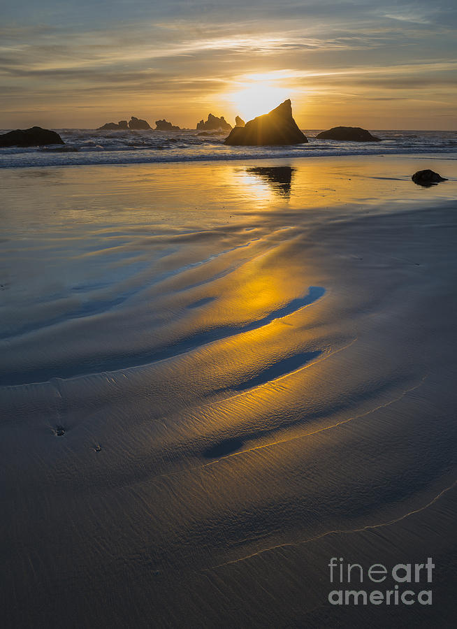 Seastacks At Low Tide Sunset Photograph by John Shaw