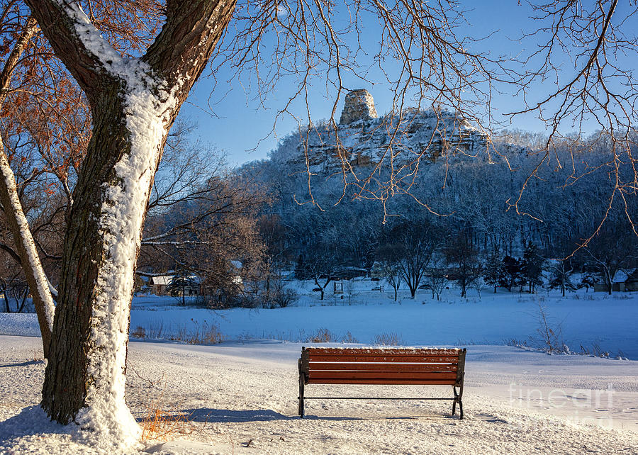 Seat with a View in Winter Photograph by Kari Yearous