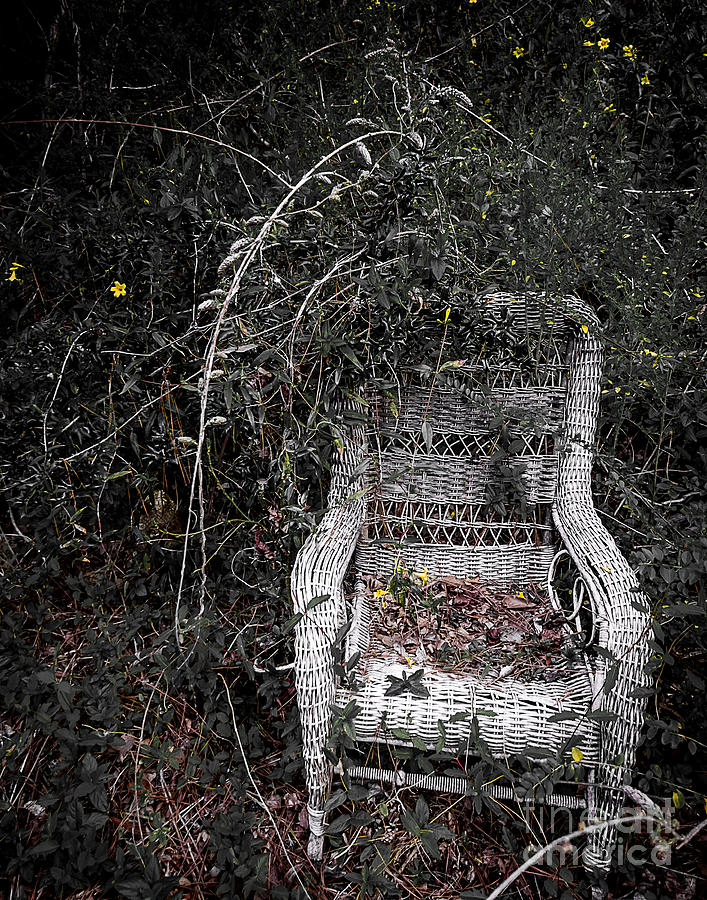 Seat with a View Photograph by Ken Frischkorn