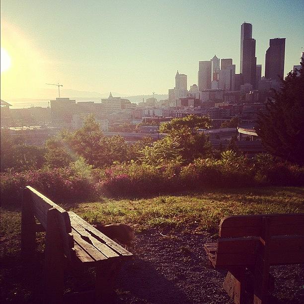 Seattle Photograph - #seattle #bench #sunset by Keegan Cogdill