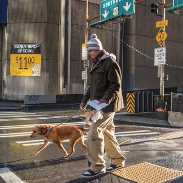 Seattle Photograph - #seattle #dog #man by Ron Greer