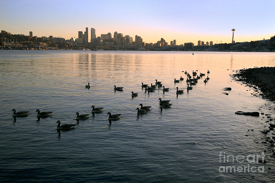 Seattle Photograph - Seattle - Lake Union in Evening Light by King Wu