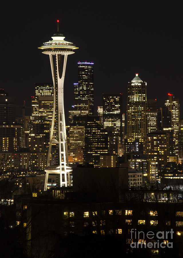 Seattle Skyline At Night 1 Photograph by Bob Christopher