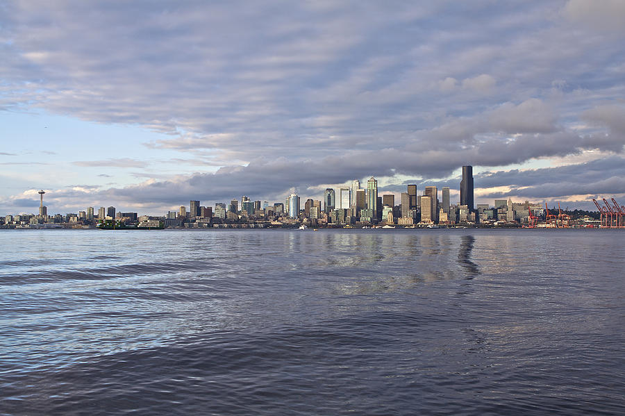 Seattle skyline Cityscape Photograph by SC Heffner