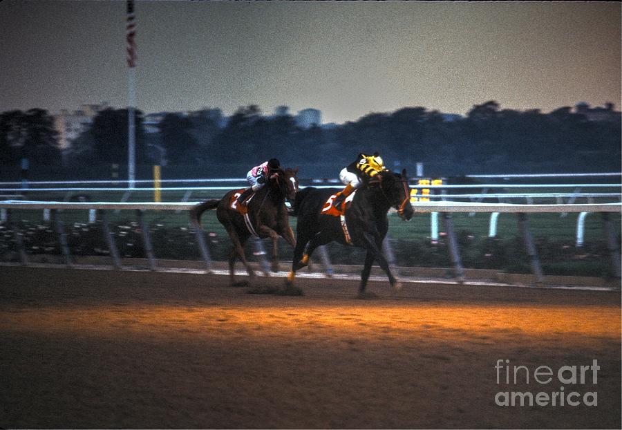 Seattle Slew and Affirmed Photograph by Marc Bittan