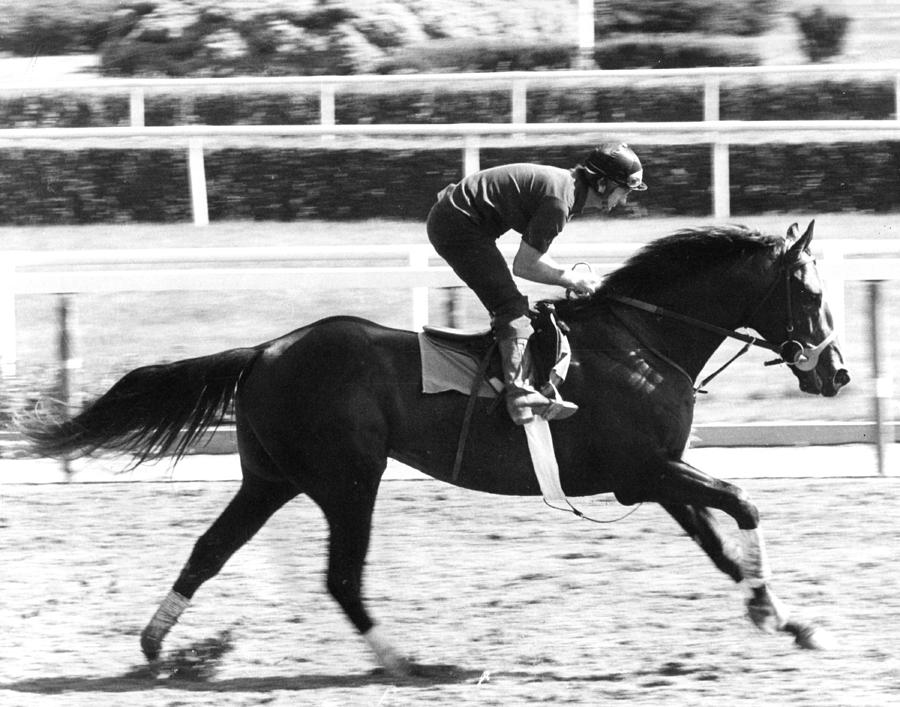 Seattle Slew Horse Racing #02 Photograph by Retro Images Archive