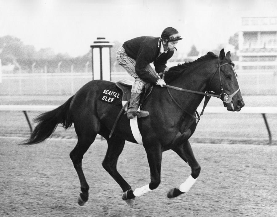 Seattle Slew Horse Racing #03 Photograph by Retro Images Archive