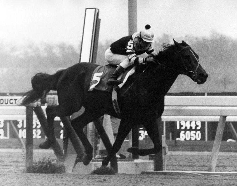 Seattle Slew Horse Racing #05 Photograph by Retro Images Archive