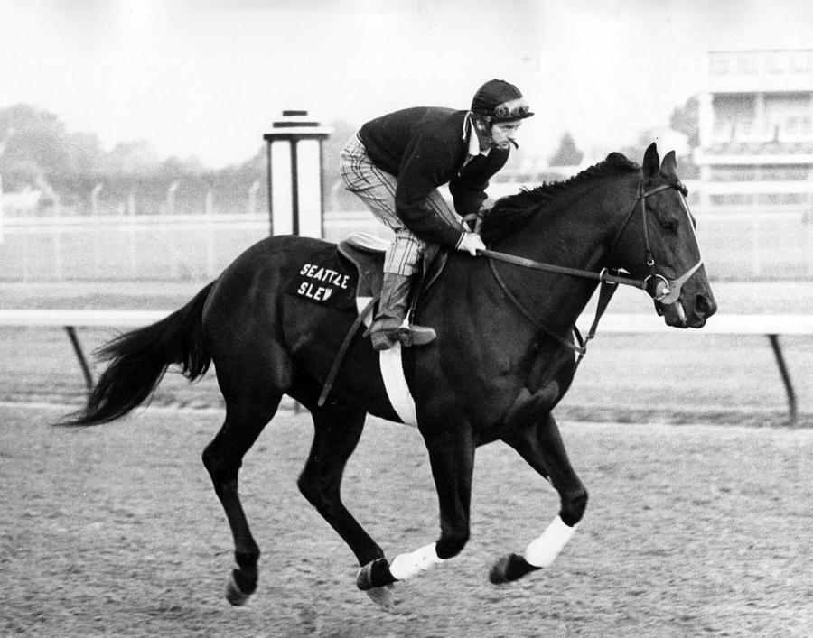 Vintage Photograph - Seattle Slew Horse Racing #06 by Retro Images Archive