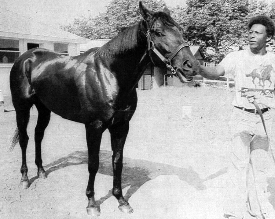 Seattle Slew Horse Racing #07 Photograph by Retro Images Archive