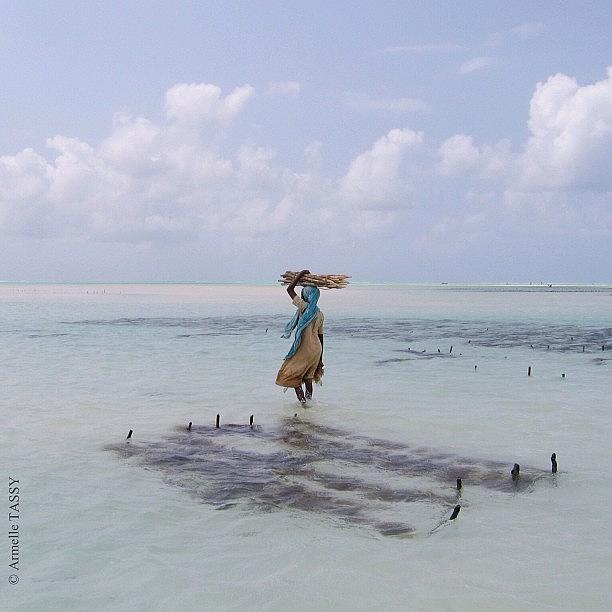 Seaweed Farmer. Jambiani Zanzibar. A Photograph by Armelle Tassy