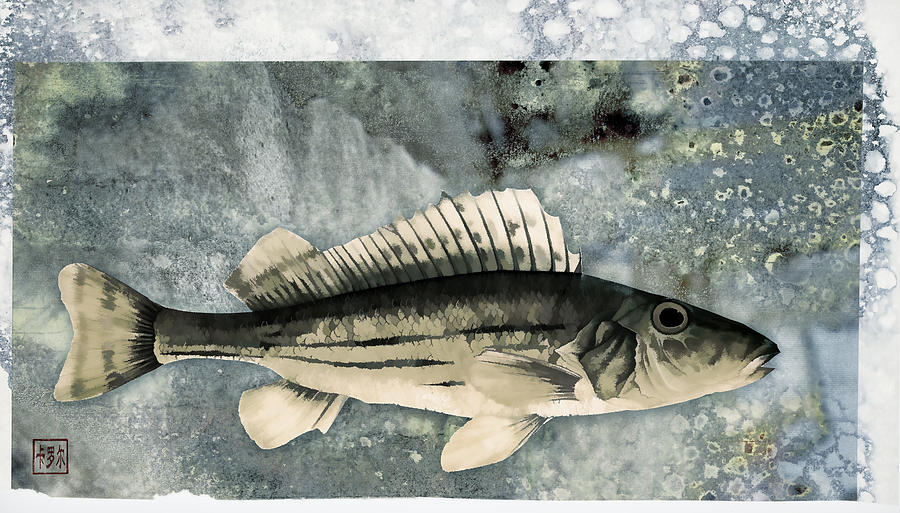 Fish Photograph - Seaworthy by Carol Leigh