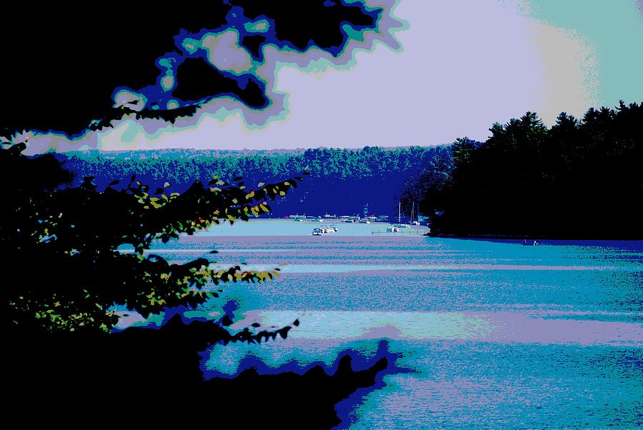 Tree Photograph - Sebago Lake  Maine by Cyndi Lenz