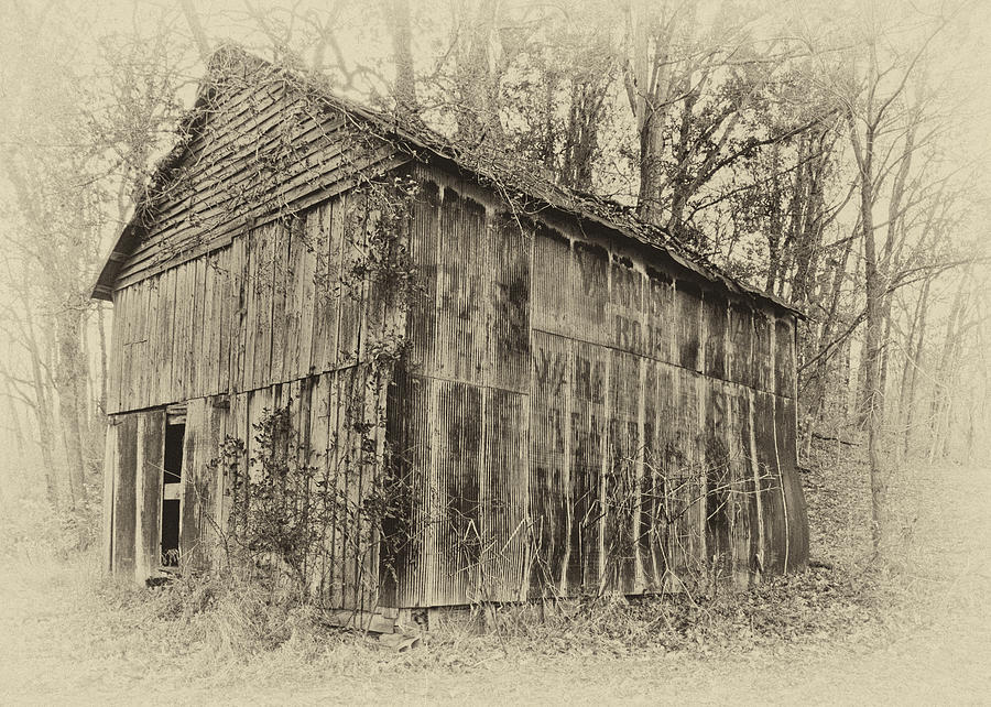 Secluded Barn 2013a - Antique Photograph by Greg Jackson