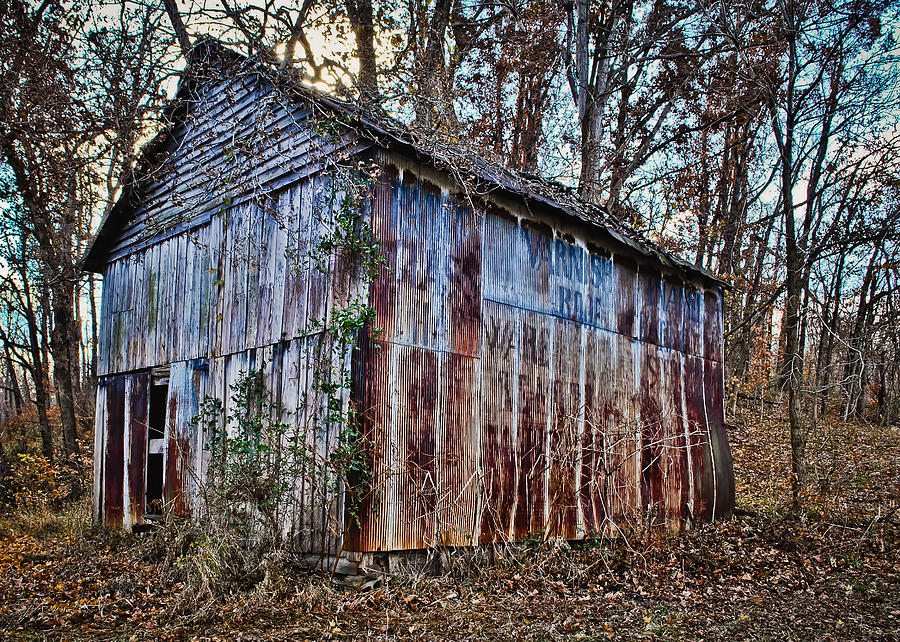 Secluded Barn 2013a Photograph by Greg Jackson